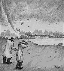 D'aprs les scientifiques  quoi seraient dues les pluies d'animaux ?