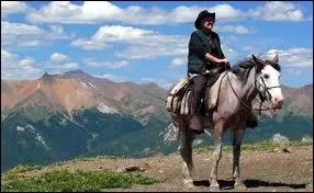 Quelle est la race de ce cheval ?