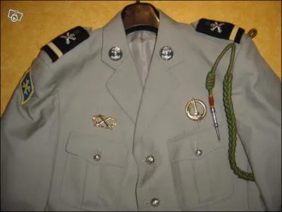 Cette tenue militaire est une tenue de quelle arme ?