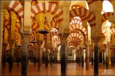 Quelle est cette mosque qui compte parmi les plus belles du monde ?