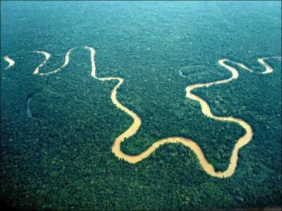 Quelle est la rgion du monde possdant le plus grand nombre de varits de plantes ?