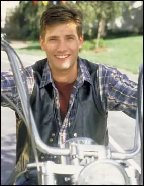 (Notre belle famille) Qui tait le personnage le plus stupide (et donc forcment le plus drle) de cette sympathique srie ?