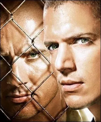 (Prison Break) Combien y a-t-il eu de saisons de  Prison Break  ?