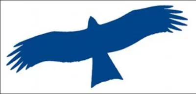 Ce rapace est un(e) :