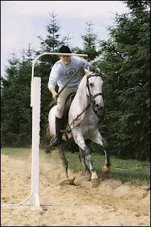 De quelle discipline s'agit-il ?