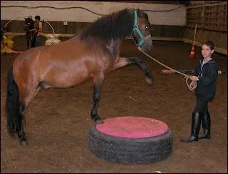 De quelle discipline s'agit-il ?