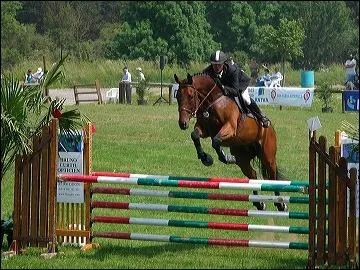 De quelle discipline s'agit-il ?