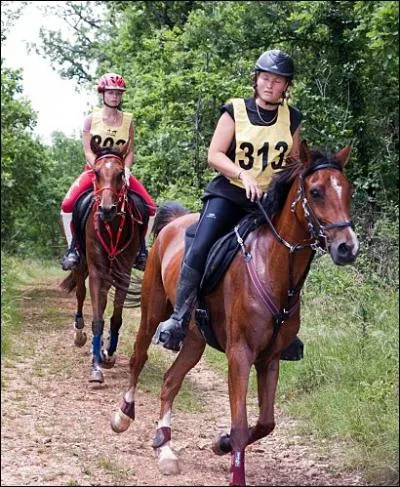 De quelle discipline s'agit-il ?