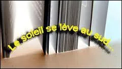 Savez-vous ce qu'est la  licence potique  ?