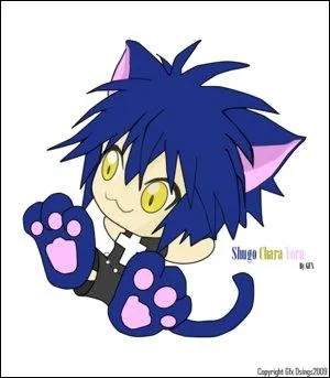 Qui est le propritaire de Yoru ?