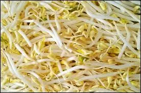 Le tofu est un driv du ...