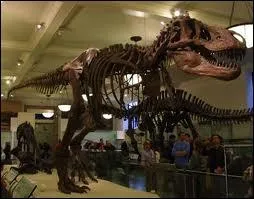 Qu'aimait faire Rexy ?