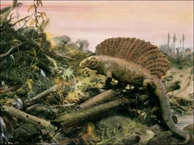 L'Edaphosaurus boanerges est un autre herbivore de 3 m de long qui a systme digestif trop peu efficace,  quoi lui sert sa voile dorsale ?