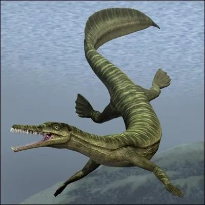 Le Mesosaurus brasiliensis, long d'un mtre, tait un trs bon nageur aux dents fines et fragiles. Que mangeait-il ?