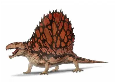 O trouve-t-on des fossiles de Dimtrodon ?