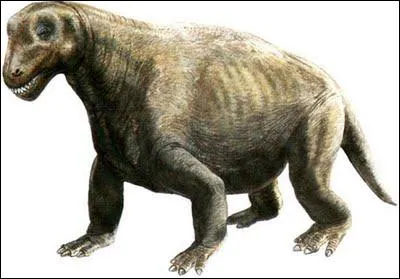 En quelle anne a-t-on dcouvert les premiers ossements du Moschops capensis et l'a-t-on reconnu comme espce  part entire ?