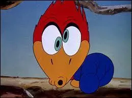 Woody Woodpecker est un oiseau au rire caractéristique. Il fait partie de quelle espèce ?
