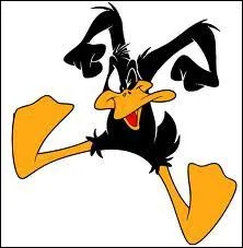 Que veut être Daffy Duck, le canard noir hystérique ?