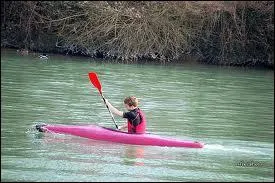 Qui chantait ''CANOË rose'' en 1985 ?