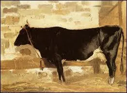 Quel peintre, membre de la clbre cole de Barbizon est l'auteur de cette   Vache  l'curie   ?