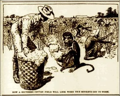 Le singe existe en Amrique du Nord !