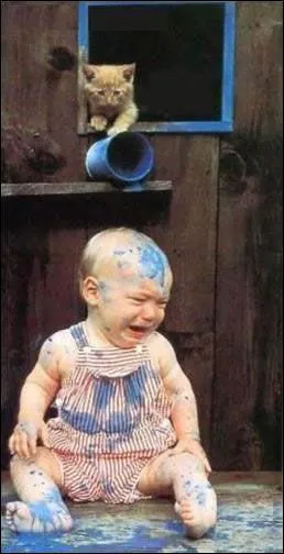 Il existe un chat qu'on appelle bleu !