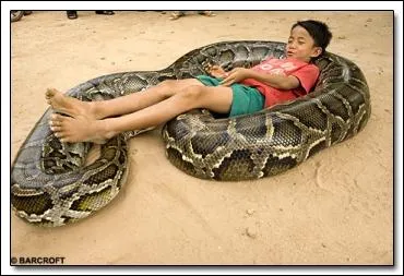 Sur quel animal est allong cet enfant !