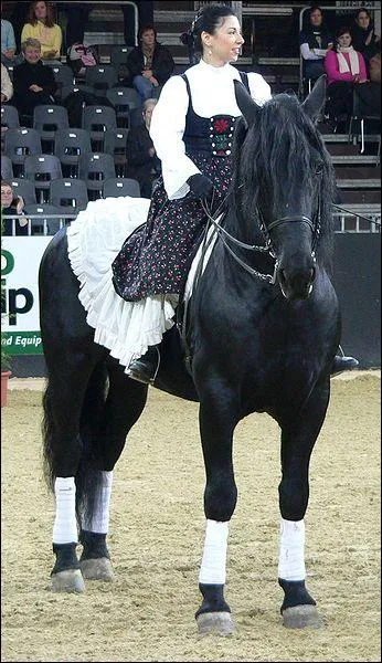 Cette race italienne est originaire du plateau des Murges dans les Pouilles. Il est utilis pour le trait lger mais sa discipline reste le dressage. Sa robe est gnralement noire, c'est ...