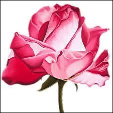 'Fleur' est un mot :