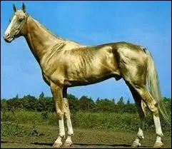 Quelle est sa couleur ?