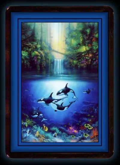 Ces cratures sont des poissons !