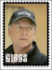 Comment se finissent les soires romantiques avec Gibbs ?