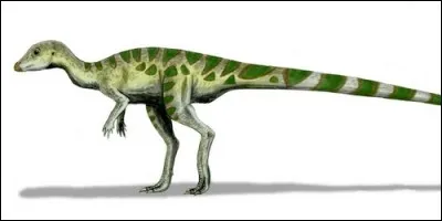 Qui a découvert le leaellynasaura ?