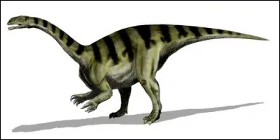 Le plateosaurus fut l'un des plus anciens dinosaures...
