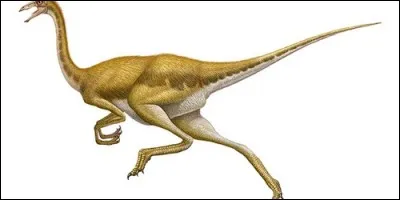 Que signifie le nom de gallimimus ?