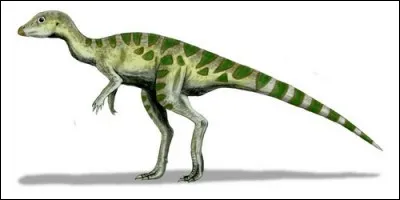 Qui les paléontologues ont voulu remercier en donnant le nom de qantassaurus à un dinosaure ?