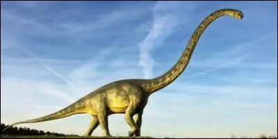 A quel ordre appartenait le diplodocus ?