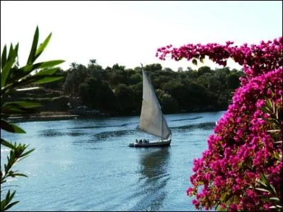 ''Voiles sur les filles, barques sur le Nil / Je suis dans ta vie, je suis dans tes bras / Alexandrie Alexandra, Alexandrie où l'amour danse avec la nuit / J'ai plus d'appétit qu'un... ''