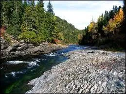 Avec qui Michel Sardou chante-t-il ''La RIVIÈRE de notre enfance'' ?