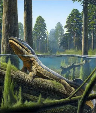 Quel est le nom de ce ttrapode d'un mtre de long qui devait avoir beaucoup de mal  se hisser hors de l'eau  cause de ses 8 doigts raides  chaque main ?