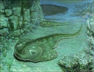 Quel est le nom de ce poisson ?