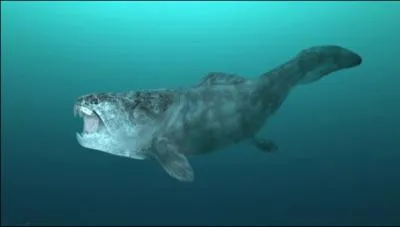 Le plus gros poisson et aussi le plus gros prdateur de l'poque tait le Dunkleosteus telleri, il n'avait pas de dent mais deux plaques qu'il utilisait comme tel. Long de 8 m c'tait le premier :