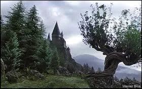 Lorsqu'Harry Potter chute gravement lors d'un match de quidditch, son balai totalement dtruit lui est rapport  l'infirmerie de Poudlard par ses camarades, qui expliquent...