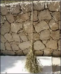 Les premiers balais taient en gent, et se nommaient  balan , ce qui a donn balai en franais. Balan est un mot de quelle origine ?