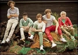 Qui se trompe en voulant dire le nom du groupe lors d'une interview ?