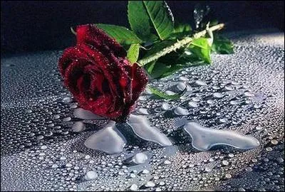  Laisse-moi devenir l'ombre de ton ombre. L'ombre de ta main, l'ombre de ton chien. Pour ne pas tre quitt voil le cri du cur et du dsespoir . Quel est le titre de cette chanson ?