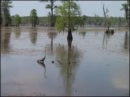 O se trouve la rivire de La Boeuf ?