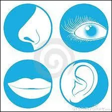 Quelle est la particularit du jumeau de l'un des trois hros ?