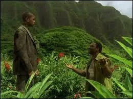  The cost of living  : Qui tue Mr Eko ?