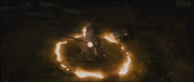 Comment Harry qualifie-t-il le Terrier ?